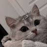 sylvanora