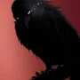 AuthorsDread