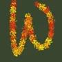 Winzie