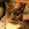 goodnovel comment avatar