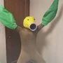 OJIME