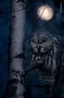 Darkaddict