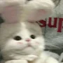 Lalapikaboo