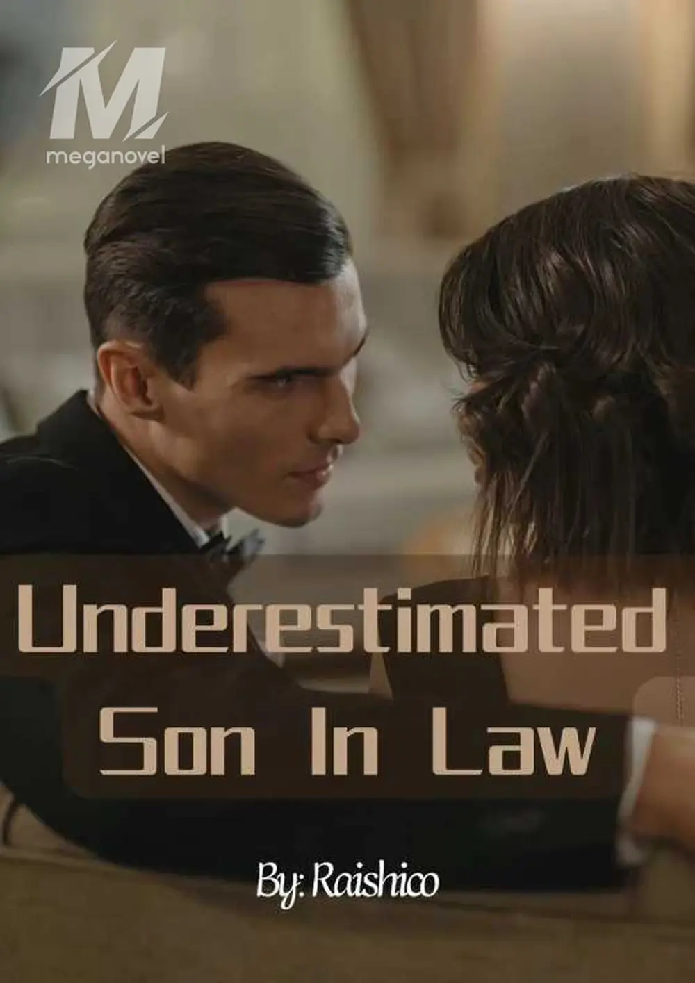 Underestimated Son In Law - Chapter 96 You Are? Novel & PDF Online by ...