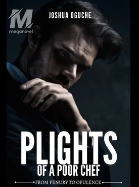 PLIGHTS OF A POOR CHEF