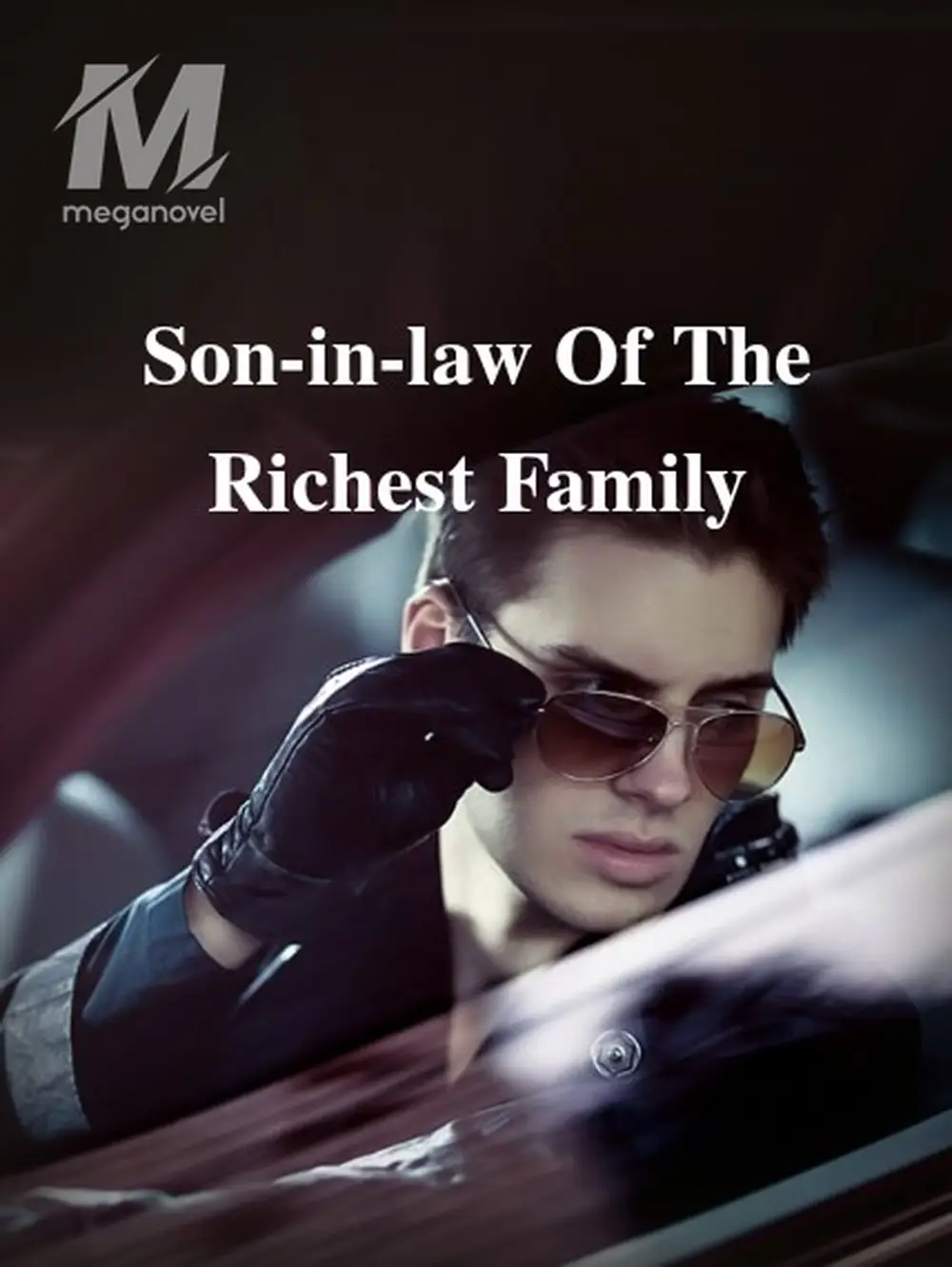 Son-in-law Of The Richest Family - CHAPTER 1 Novel & PDF Online by ...