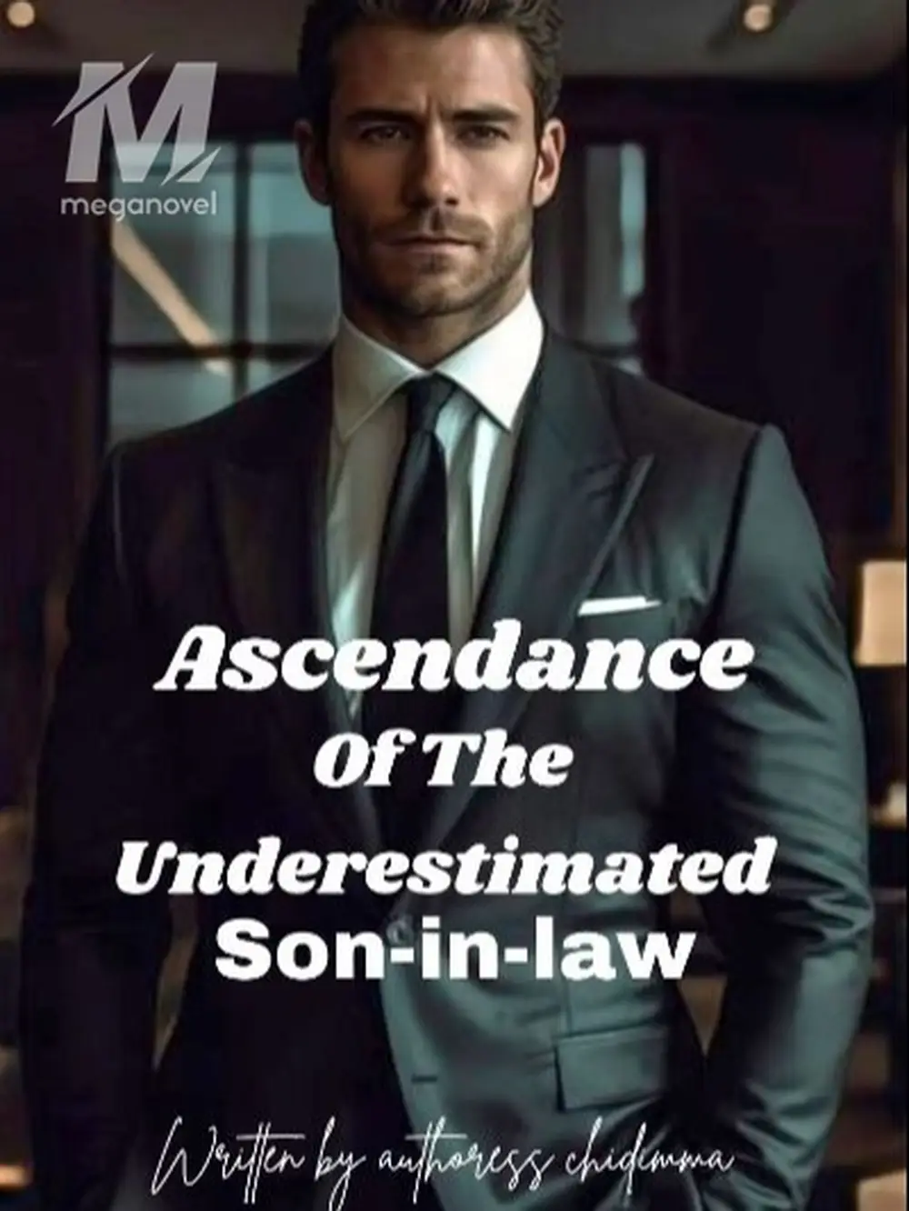 Free Chapter 1 of Ascendance Of The Underestimated Son-in-Law Online ...