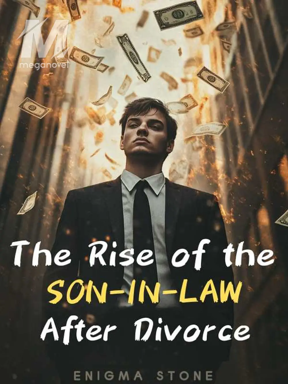 The Rise of the Son-in-law After Divorce - Chapter 709 Novel & PDF ...