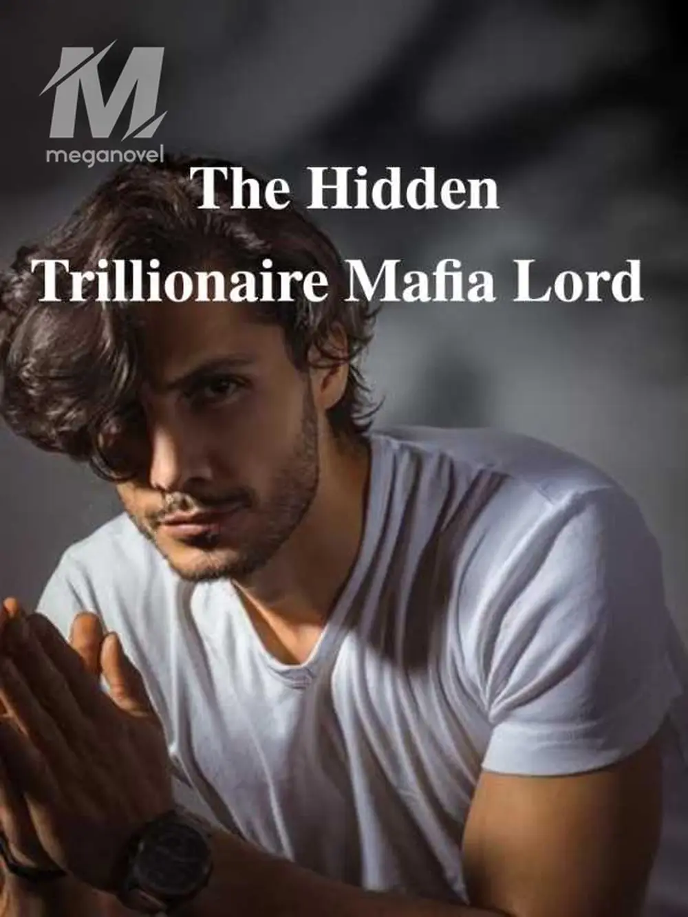 Free Chapter Two of The Hidden Trillionaire Mafia Lord Online | MegaNovel
