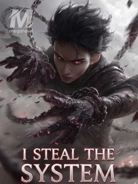 I Steal The System